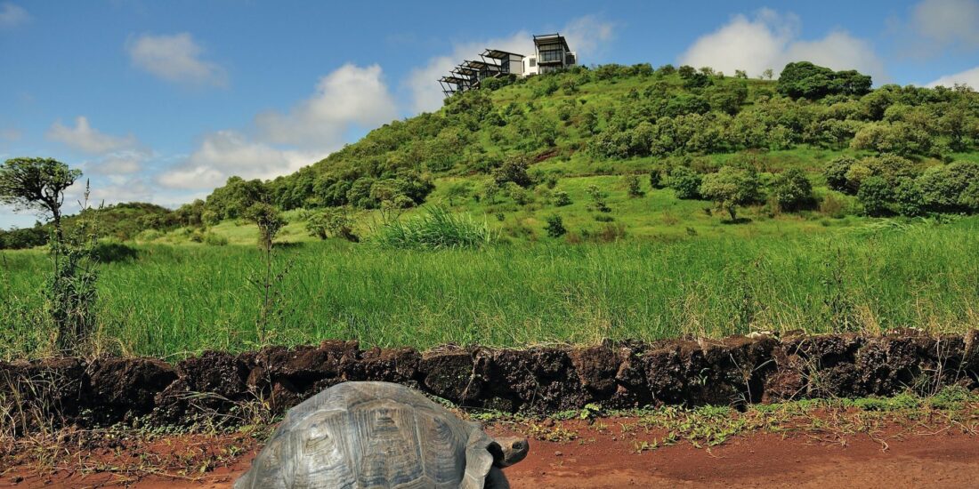 Pikaia Lodge Galapagos