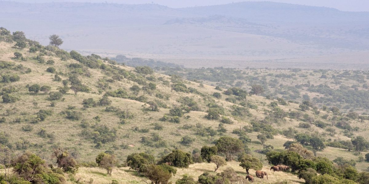 Sirai House Laikipia Kenya