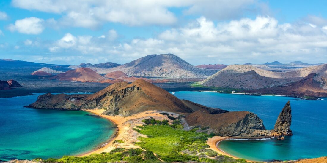 Galapagos Islands: life everywhere