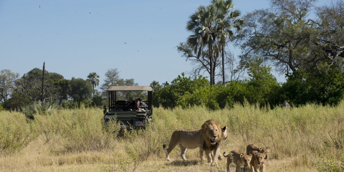 Botswana-an unspoilt garden in the heart of Africa